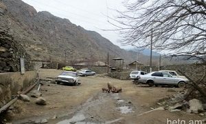 Նռնաձորում կարծում են, որ կարևորն այն չէ, որ գյուղապետ ընտրվես, այլ այն, թե քանի ծառ ունես