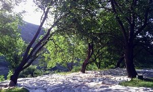 Ամռան միջօրե