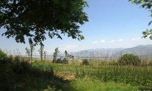 Կոռնիձորցիները հրաժարվել են Կառավարության տրամադրած դիզվառելիքից