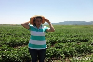 Պետական աջակցություն՝ սեզոնային զբաղվածությունն ապահովելու համար