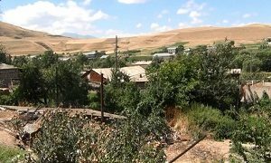Ույծում գարին չեն կարողացել հավաքել