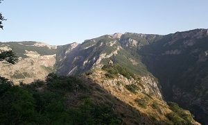 Հալիձորյան խրոնիկա