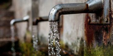 Ջրային թնջուկ