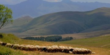 Խնձորեսկցի երիտասարդի որոնողական աշխատանքները շարունակվում են