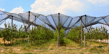 Նոր գյուղատնտեսություն. Գայթակղիչ, բայց ՝ դժվար