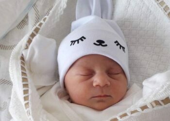 Կյանքը պատերազմին հաղթում է նոր ծնունդներով