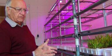 Այլընտրանքային գյուղատնտեսության մեկնարկ՝ Խնձորեսկում