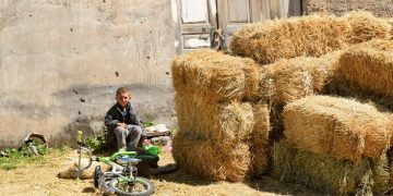 Դժվարությամբ, բայց կյանքը շարունակվում է Կոռնիձորում