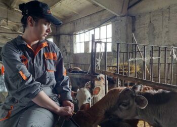 Հոգեբանի մասնագիտությամբ  կարուձև սիրող ֆերմերը