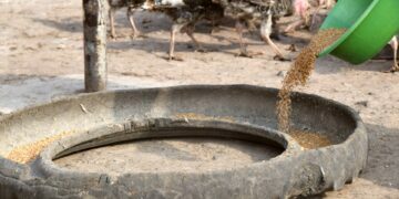 Գյուղատնտեսության զարգացման այլընտրանքային հնարավորություններ Սյունիքում