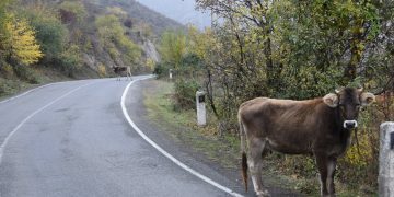 Սյունիքի սահմանամերձ գյուղերում անասնապահության զարգացման համար նոր պայմանների ստեղծումը առաջնահերթություն է