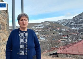 Գյուղի «շտապօգնություն» Նինան