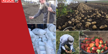 Մի բուռ հող, հազար հոգս. հայ գյուղացին՝ հին ու նոր խնդիրների առաջ