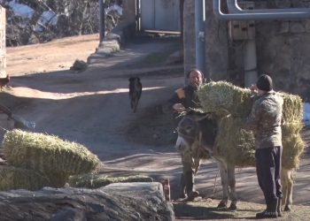 Անվտանգության ապահովմանն ուղղված ջանքերն ընդլայնվում են