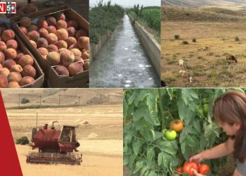 Ի՞նչն է խանգարում գյուղատնտեսության զարգացմանը, ինչո՞ւ է մեր երկրում մշակվում միայն վարելահողերի մոտ 50 տոկոսը