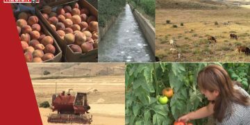 Ի՞նչն է խանգարում գյուղատնտեսության զարգացմանը, ինչո՞ւ է մեր երկրում մշակվում միայն վարելահողերի մոտ 50 տոկոսը