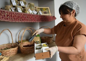 «Թեյնիկի» տիրուհի Մետաքսյան