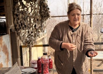 Կյանքը սահմանին. Ժասմենայի «փոքրիկ բիզնեսն» ու մեծ սերը հողի հանդեպ