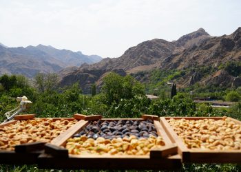 Մեղրիի թուզը չիր դարձավ, իրացման խնդիրը մնաց