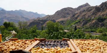 Մեղրիի թուզը չիր դարձավ, իրացման խնդիրը մնաց