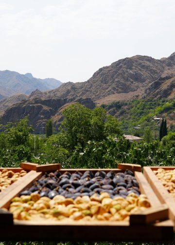 Մեղրիի թուզը չիր դարձավ, իրացման խնդիրը մնաց